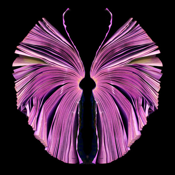 Cara Barer Artwork | Colourful and monochromatic photography orbs circular and organic abstract book art sculpture.