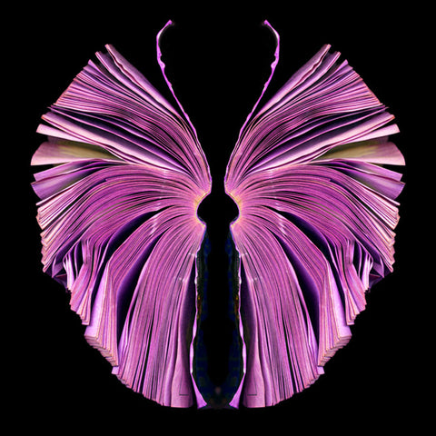 Pink Butterfly - available in 3 sizes