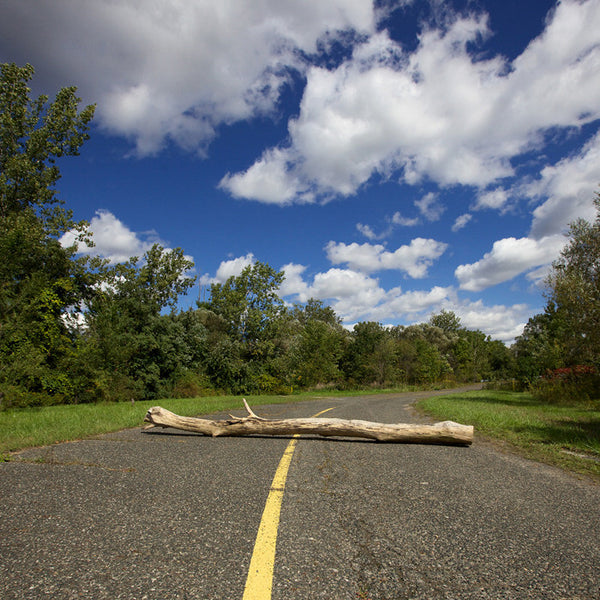 Chris Shepherd Artwork | Geometric, sometimes monochromatic, close-crop photographs of architecture and urban spaces.
