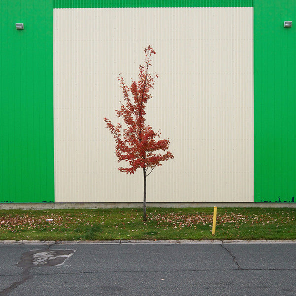 Chris Shepherd Artwork | Geometric, sometimes monochromatic, close-crop photographs of architecture and urban spaces.