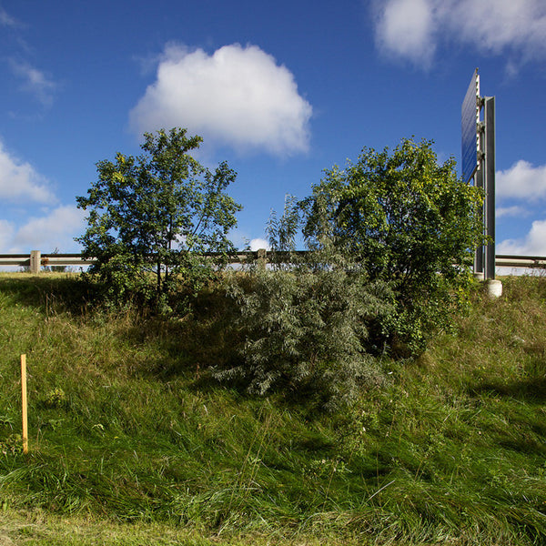 Chris Shepherd Artwork | Geometric, sometimes monochromatic, close-crop photographs of architecture and urban spaces.