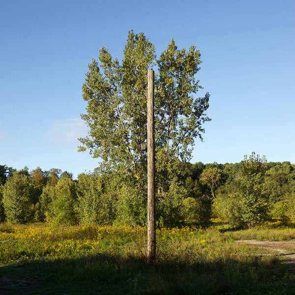 Chris Shepherd Artwork | Geometric, sometimes monochromatic, close-crop photographs of architecture and urban spaces.