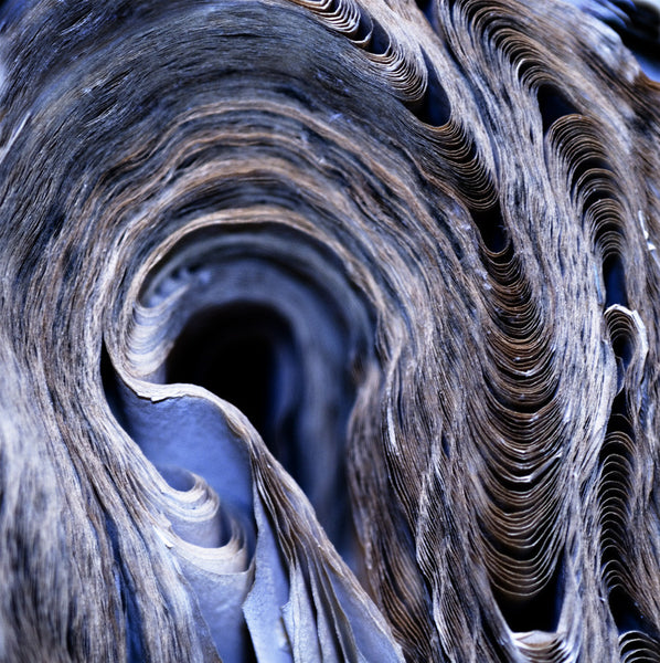 Cara Barer Artwork | Colourful and monochromatic photography orbs circular and organic abstract book art sculpture.