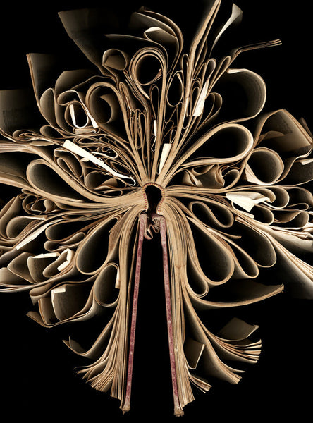 Cara Barer Artwork | Colourful and monochromatic photography orbs circular and organic abstract book art sculpture.