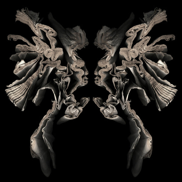 Cara Barer Artwork | Colourful and monochromatic photography orbs circular and organic abstract book art sculpture.