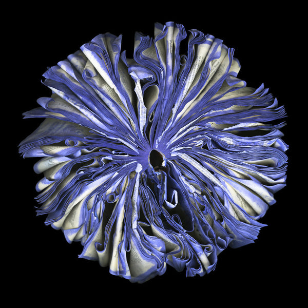 Cara Barer Artwork | Colourful and monochromatic photography orbs circular and organic abstract book art sculpture.