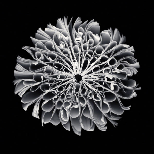 Cara Barer Artwork | Colourful and monochromatic photography orbs circular and organic abstract book art sculpture.