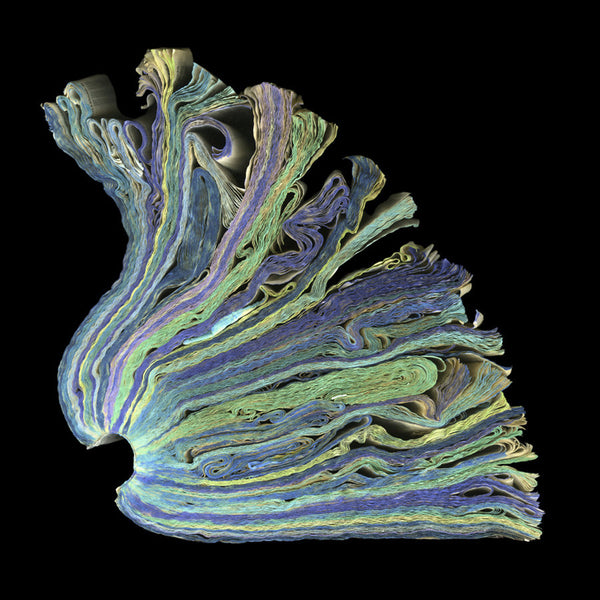 Cara Barer Artwork | Colourful and monochromatic photography orbs circular and organic abstract book art sculpture.