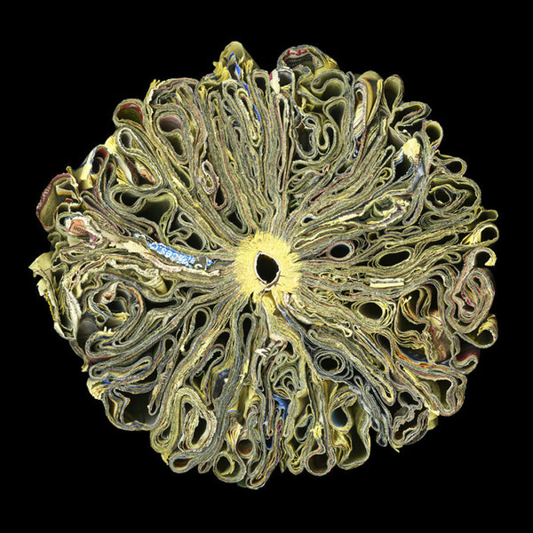 Cara Barer Artwork | Colourful and monochromatic photography orbs circular and organic abstract book art sculpture.