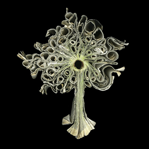 Cara Barer Artwork | Colourful and monochromatic photography orbs circular and organic abstract book art sculpture.