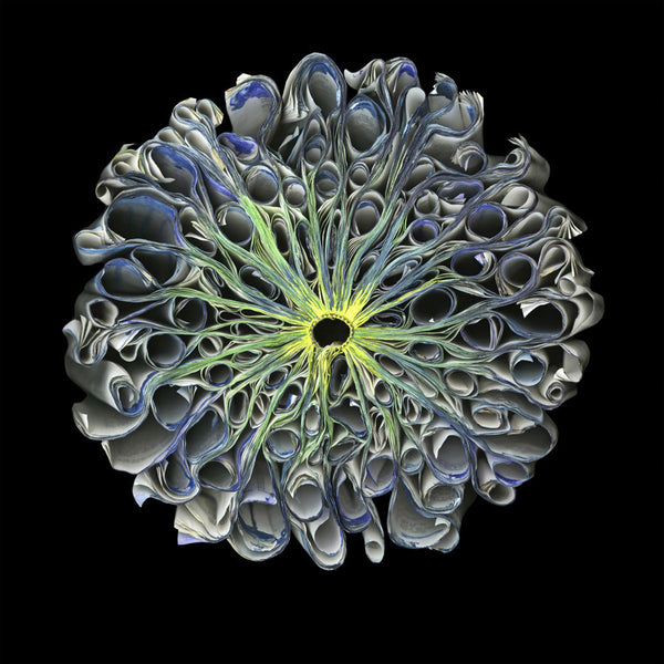 Cara Barer Artwork | Colourful and monochromatic photography orbs circular and organic abstract book art sculpture.