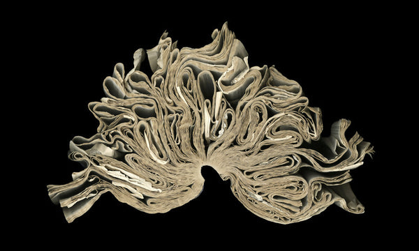 Cara Barer Artwork | Colourful and monochromatic photography orbs circular and organic abstract book art sculpture.