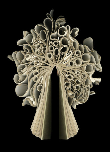 Cara Barer Artwork | Colourful and monochromatic photography orbs circular and organic abstract book art sculpture.