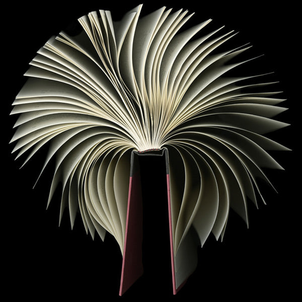 Cara Barer Artwork | Colourful and monochromatic photography orbs circular and organic abstract book art sculpture.