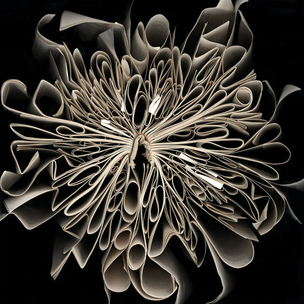 Cara Barer Artwork | Colourful and monochromatic photography orbs circular and organic abstract book art sculpture.