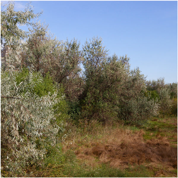 Chris Shepherd Artwork | Geometric, sometimes monochromatic, close-crop photographs of architecture and urban spaces.