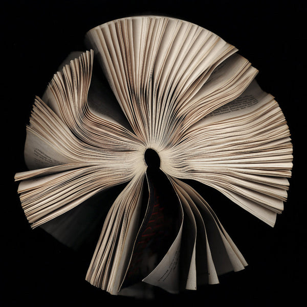 Cara Barer Artwork | Colourful and monochromatic photography orbs circular and organic abstract book art sculpture.