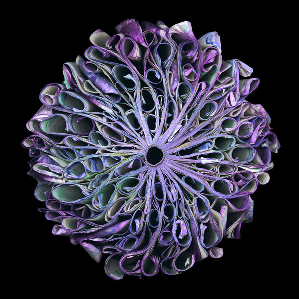 Cara Barer Artwork | Colourful and monochromatic photography orbs circular and organic abstract book art sculpture.