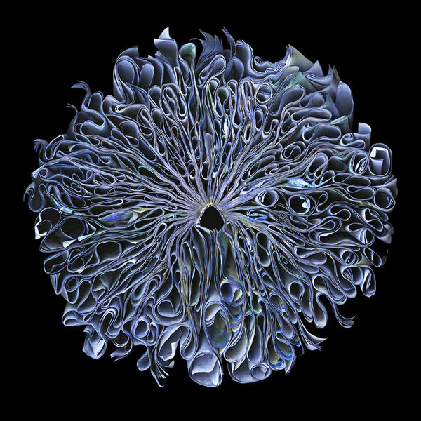 Cara Barer Artwork | Colourful and monochromatic photography orbs circular and organic abstract book art sculpture.