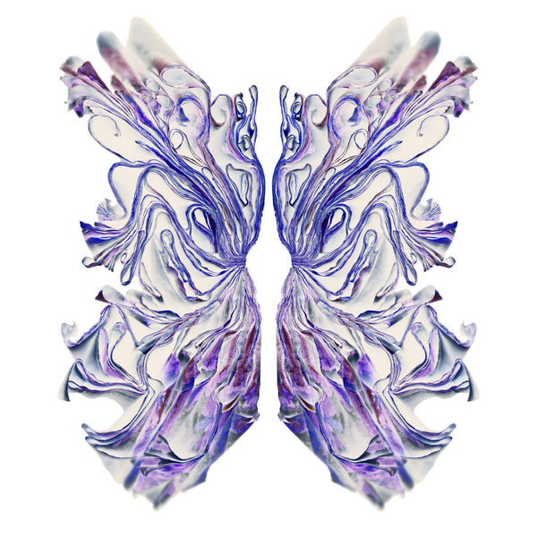 Cara Barer Artwork | Colourful and monochromatic photography orbs circular and organic abstract book art sculpture.