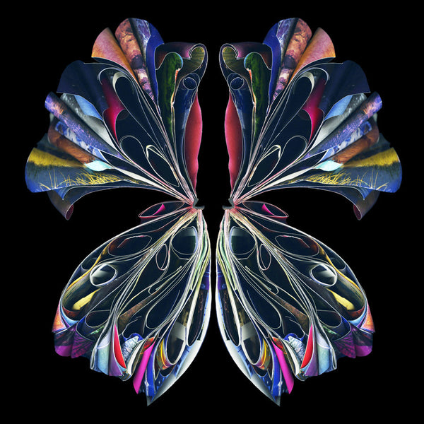 Cara Barer Artwork | Colourful and monochromatic photography orbs circular and organic abstract book art sculpture.