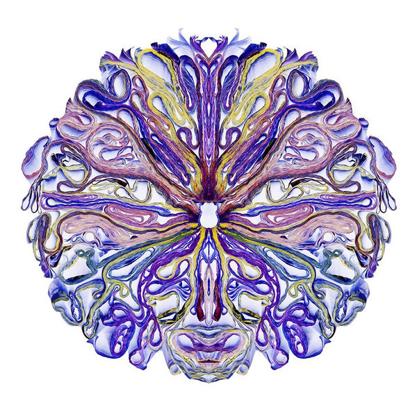 Cara Barer Artwork | Colourful and monochromatic photography orbs circular and organic abstract book art sculpture.