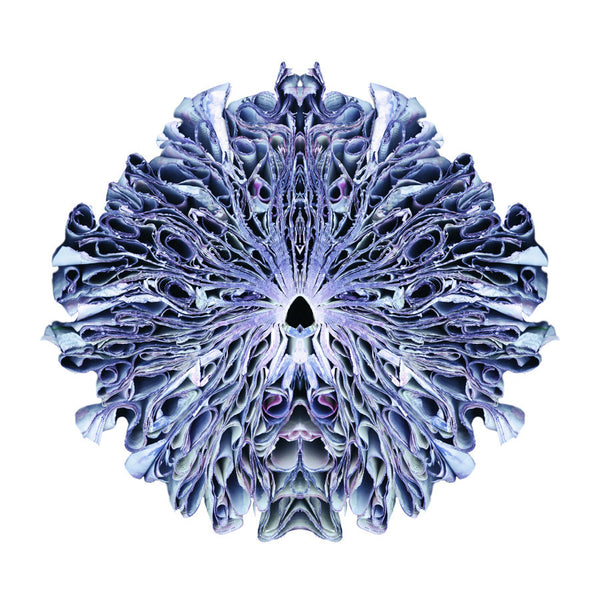 Cara Barer Artwork | Colourful and monochromatic photography orbs circular and organic abstract book art sculpture.