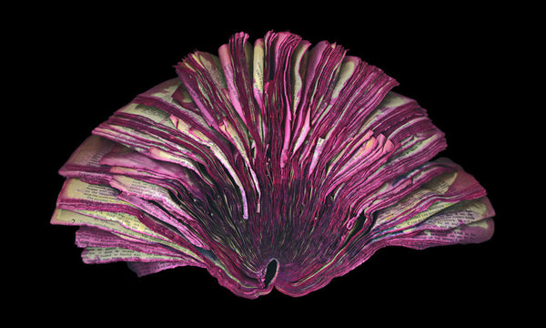 Cara Barer Artwork | Colourful and monochromatic photography orbs circular and organic abstract book art sculpture.