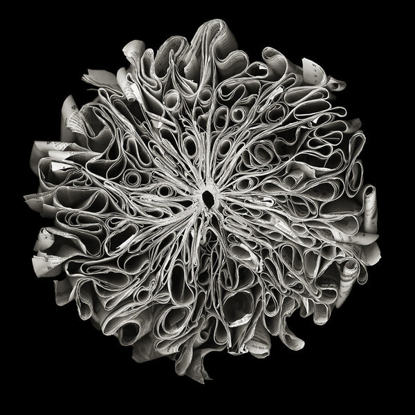 Cara Barer Artwork | Colourful and monochromatic photography orbs circular and organic abstract book art sculpture.