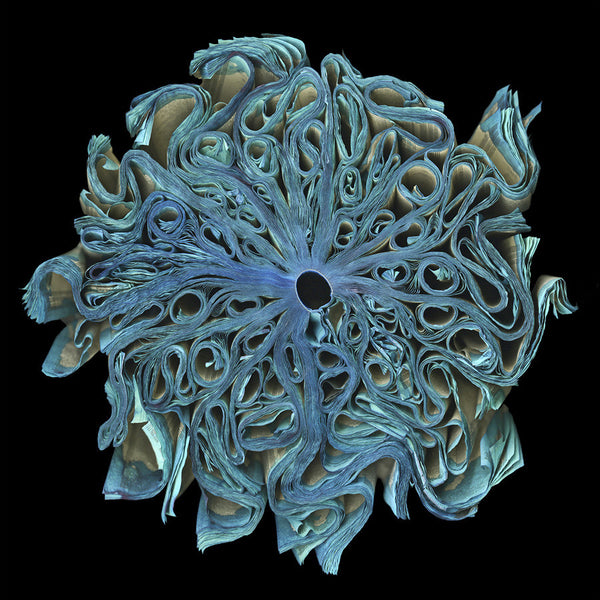 Cara Barer Artwork | Colourful and monochromatic photography orbs circular and organic abstract book art sculpture.