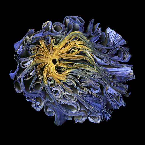 Cara Barer Artwork | Colourful and monochromatic photography orbs circular and organic abstract book art sculpture.