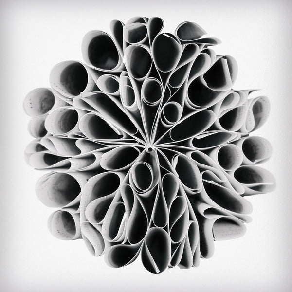 Cara Barer Artwork | Colourful and monochromatic photography orbs circular and organic abstract book art sculpture.