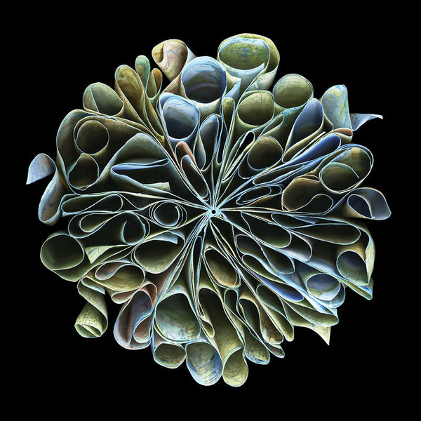 Cara Barer Artwork | Colourful and monochromatic photography orbs circular and organic abstract book art sculpture.