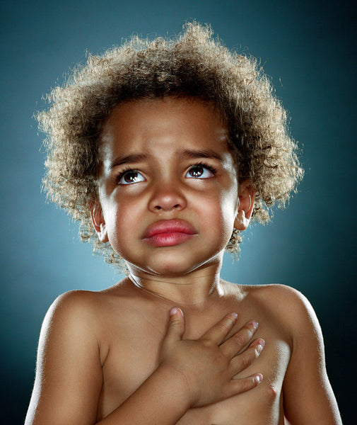 Jill Greenberg Artwork | Colourful, cute and expressive studio portraits of monkeys, horses, bears and abstract paintings.