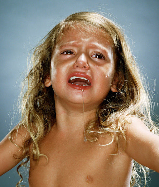 Jill Greenberg Artwork | Colourful, cute and expressive studio portraits of monkeys, horses, bears and abstract paintings.