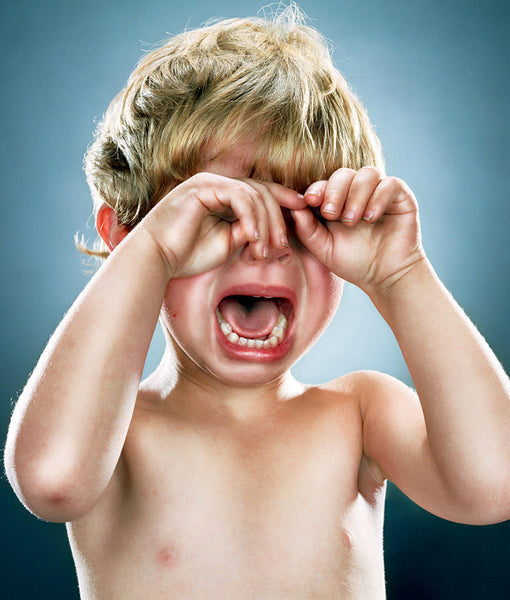 Jill Greenberg Artwork | Colourful, cute and expressive studio portraits of monkeys, horses, bears and abstract paintings.