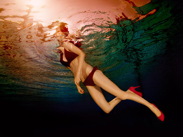 Jill Greenberg Artwork | Colourful, cute and expressive studio portraits of monkeys, horses, bears and abstract paintings.