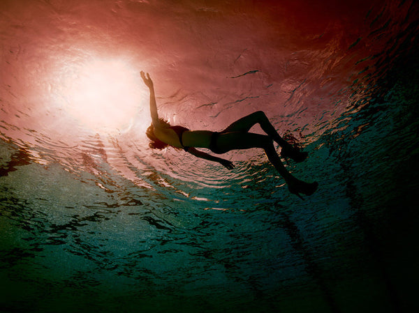 Jill Greenberg Artwork | Colourful, cute and expressive studio portraits of monkeys, horses, bears and abstract paintings.