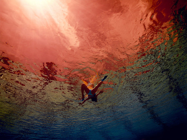 Jill Greenberg Artwork | Colourful, cute and expressive studio portraits of monkeys, horses, bears and abstract paintings.