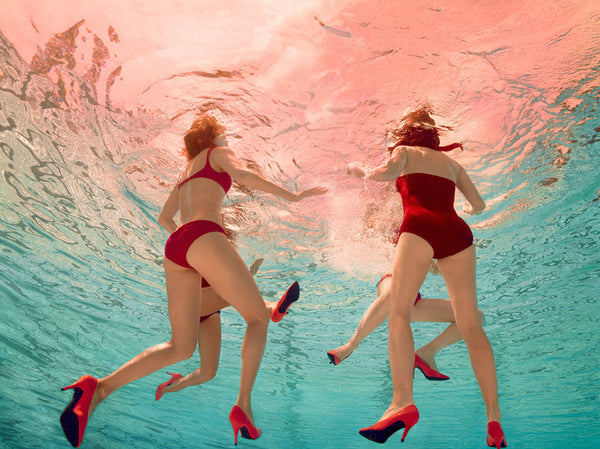 Jill Greenberg Artwork | Colourful, cute and expressive studio portraits of monkeys, horses, bears and abstract paintings.