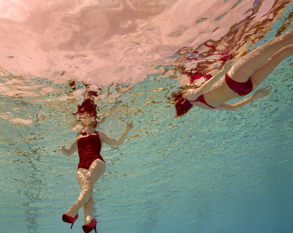 Jill Greenberg Artwork | Colourful, cute and expressive studio portraits of monkeys, horses, bears and abstract paintings.