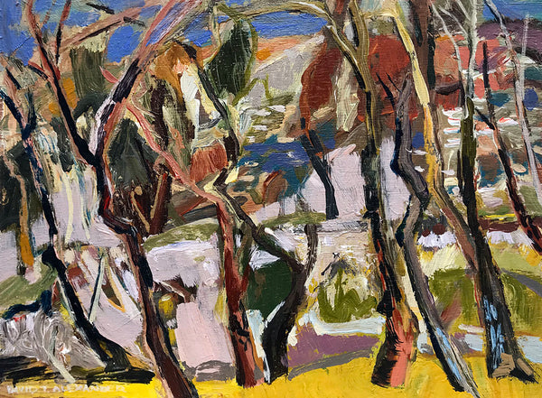 David T. Alexander Artwork | Colourful abstracts of water reflections and landscape paintings.