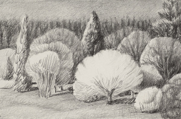 Drew Burnham Artwork | Colorful surreal stylized West Coast landscape oil painting.