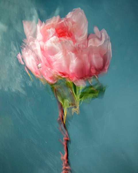 Barbara Cole Artwork | Bright, exciting, abstract, figurative, underwater figurative photographs.