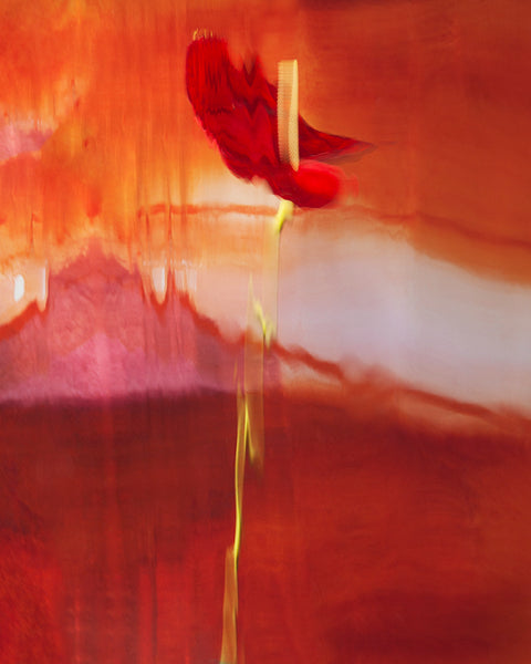 Barbara Cole Artwork | Bright, exciting, abstract, figurative, underwater figurative photographs.