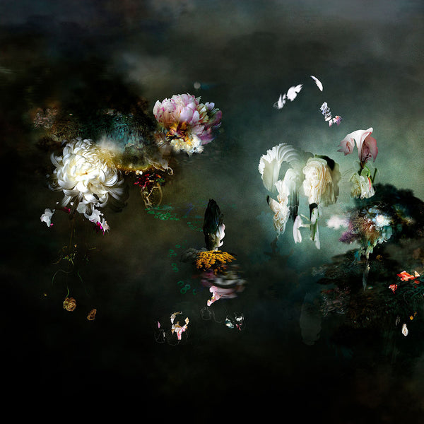 Isabelle Menin Artwork | Colourful, dramatic, painterly, abstract composite photographs of flowers and fruit.