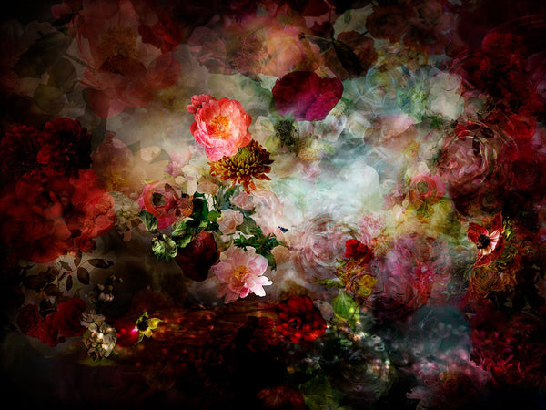 Isabelle Menin | There’s A River In My Head 11 | Colourful, dramatic, painterly, abstract composite photographs of flowers and fruit.
