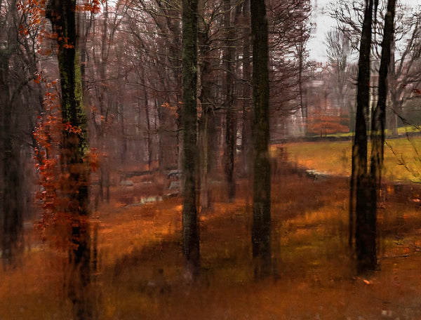 Winter View, Glass House - Available in 3 Sizes