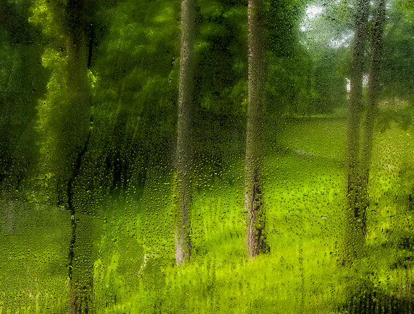 Summer View, Glass House - Available in 3 Sizes