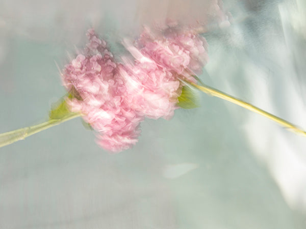 Barbara Cole Artwork | Bright, exciting, abstract, figurative, underwater figurative photographs.